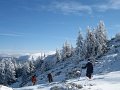 2012-01-07_11-31-37_-rp- IMG_0050